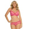 Shorty Curvy Kate Princess rose intense